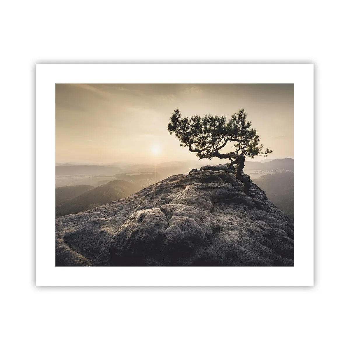 Plakat - Życie zawsze zwycięża - 50x40 cm