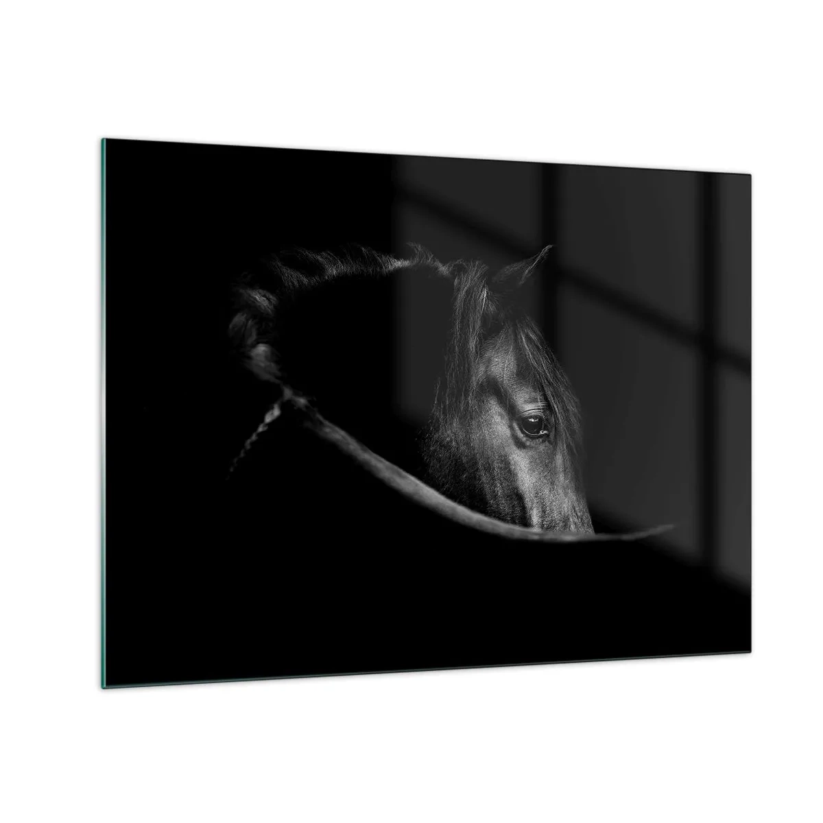 Obraz na szkle - Profil czarnego konia w cieniu z widocznym okiem - 70x50cm - Czarny książę - Nowoczesna dekoracja ścienna do salonu i sypialni ARTTOR