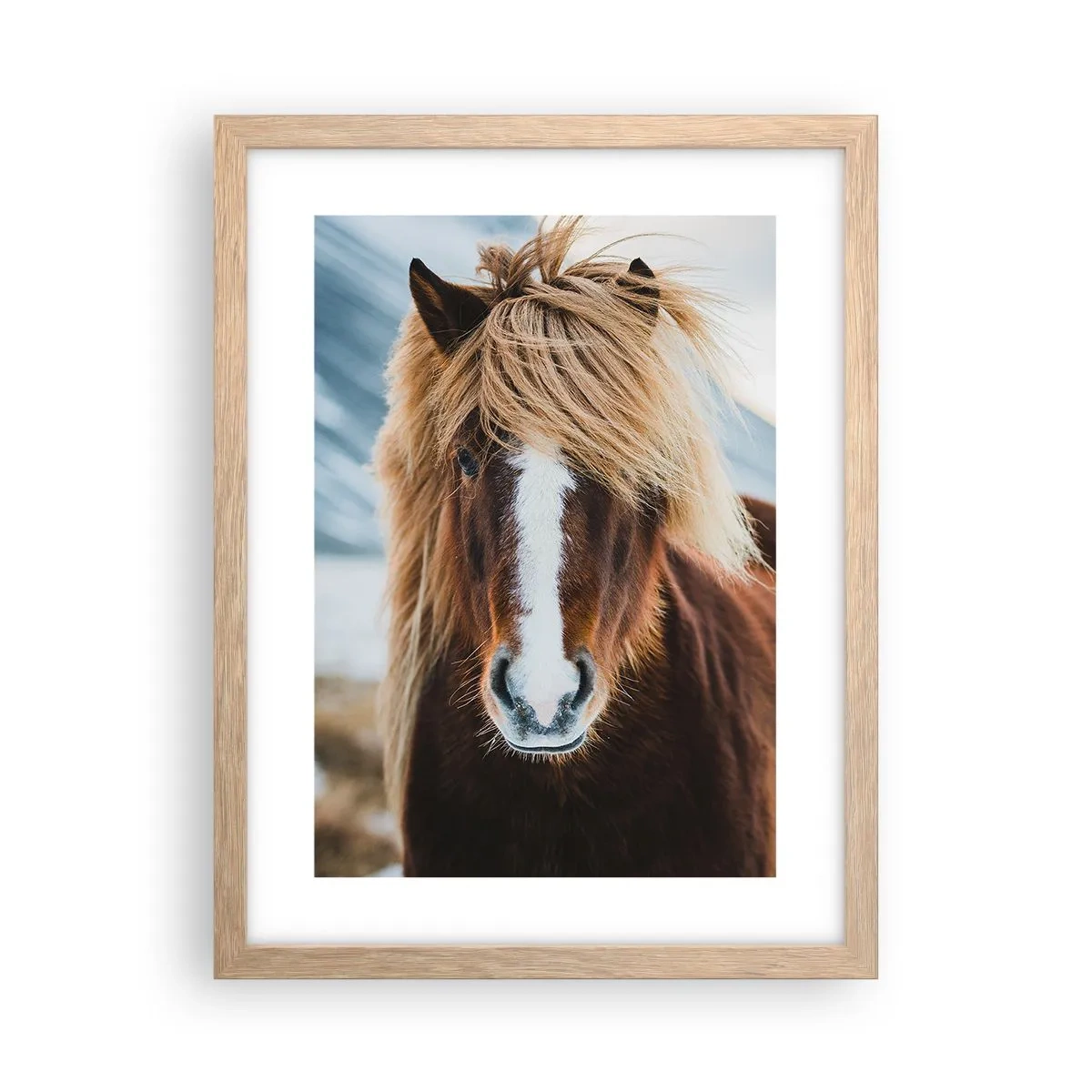 Plakat w ramie jasny dąb - Czujesz wolność? - 30x40 cm