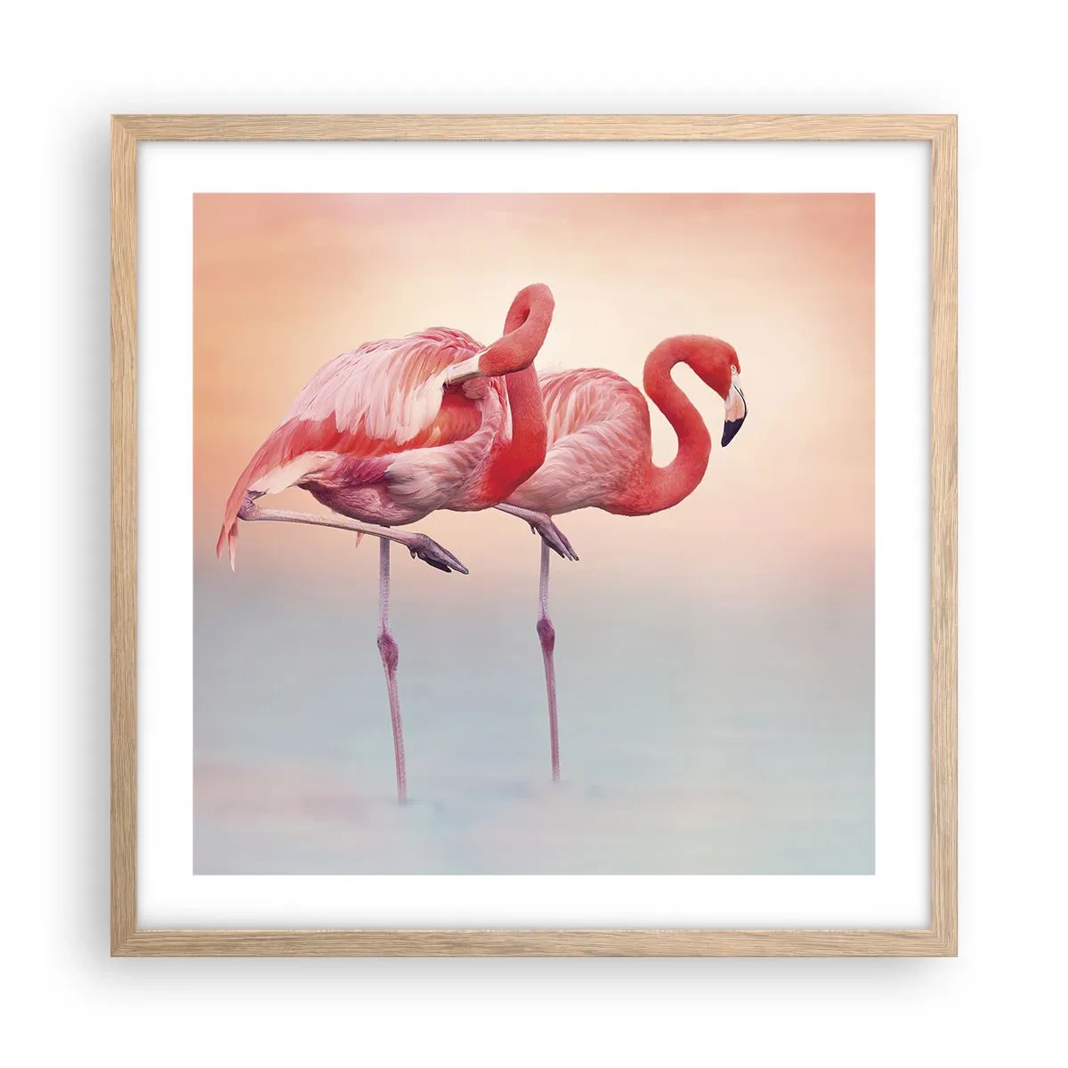 Plakat w ramie jasny dąb - W kolorze zachodzącego słońca - 50x50 cm