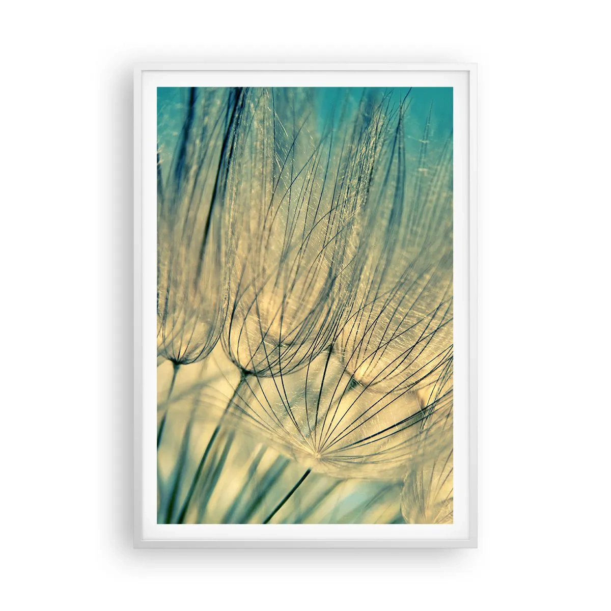 Plakat w białej ramie - W oczekiwaniu na wiatr - 70x100 cm