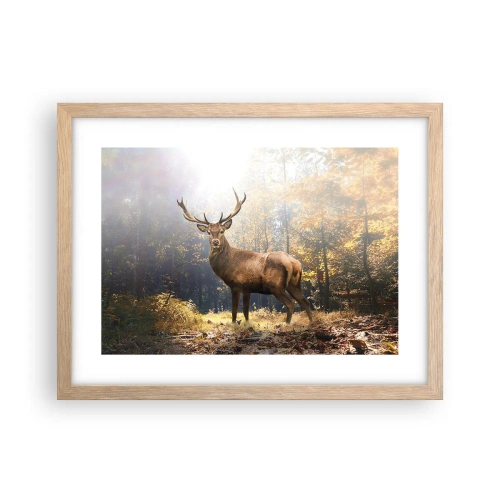 Plakat w ramie jasny dąb - W pełnym majestacie - 40x30 cm