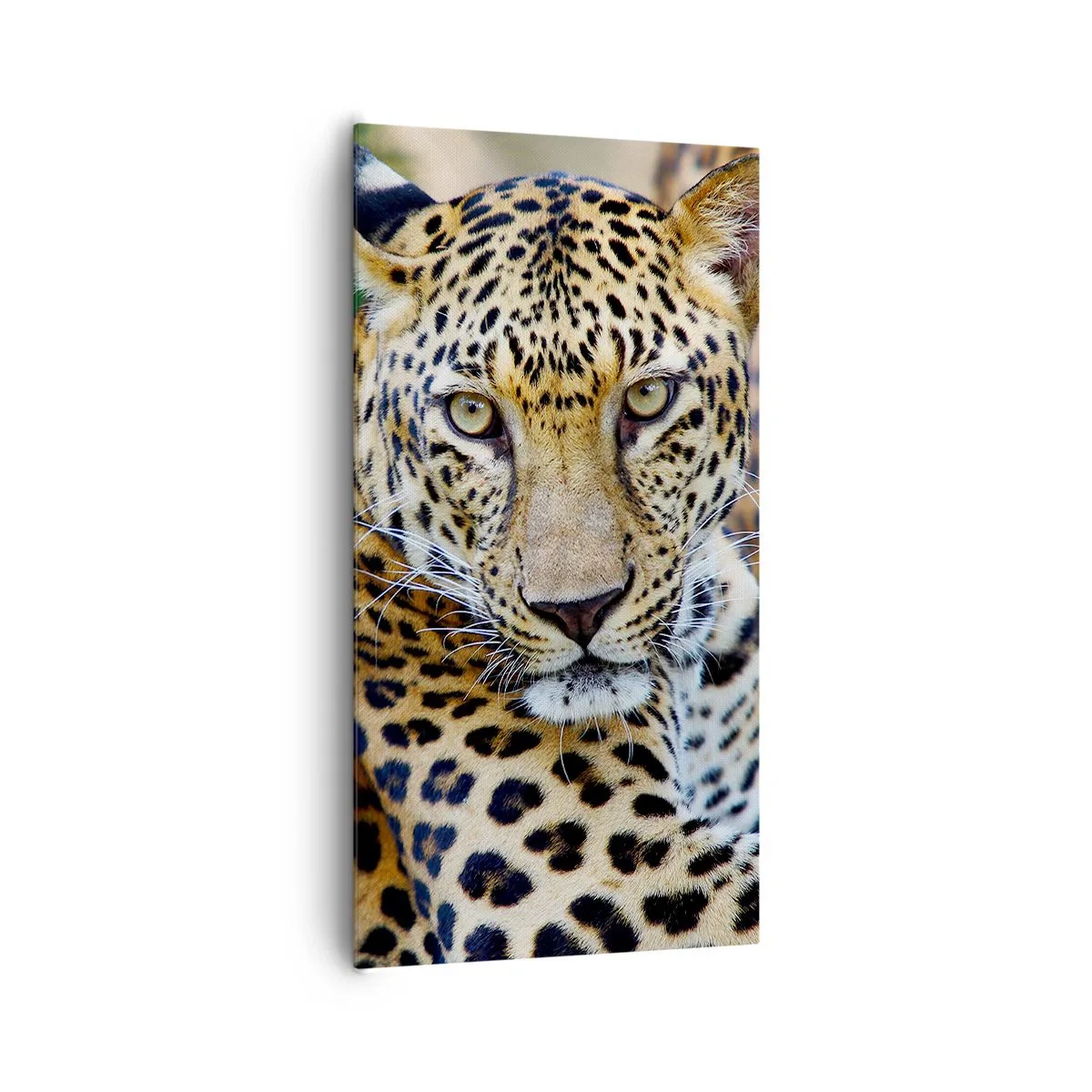 Obraz na płótnie - Dziki i spokojny - 65x120 cm