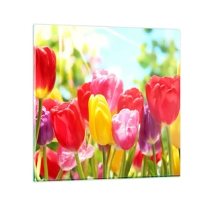 Obraz na szkle - To my, kolory maja! - 70x70 cm