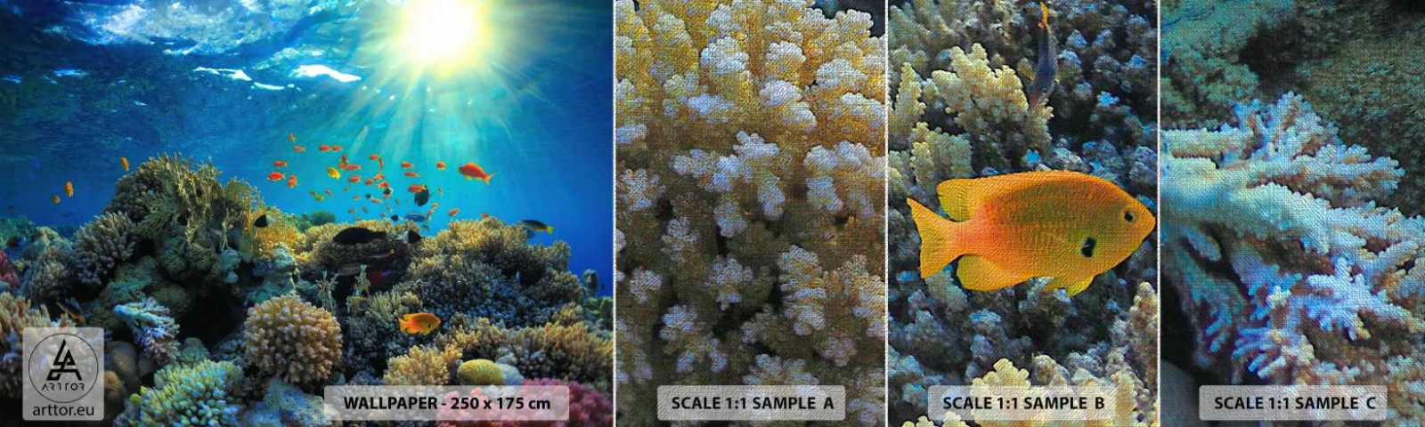 Fototapeta Próbka Premium Canvas - Podwodne skarby - Rafa Koralowa, Ocean, Morski - 100x30 cm