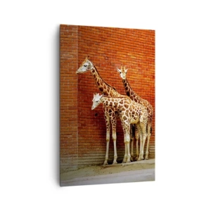 Obraz na płótnie - Cztery żyrafy na tle ceglanej ściany w artystycznej scenerii - 80x120cm - Widzicie jakąś akację? - Nowoczesna dekoracja ścienna do salonu i sypialni ARTTOR