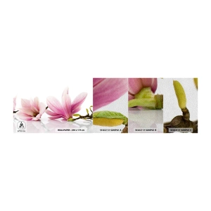 Fototapeta Próbka Premium Sand - Delikatne jak powiew wiosny - Kwiat, Magnolia, Natura - 100x30 cm