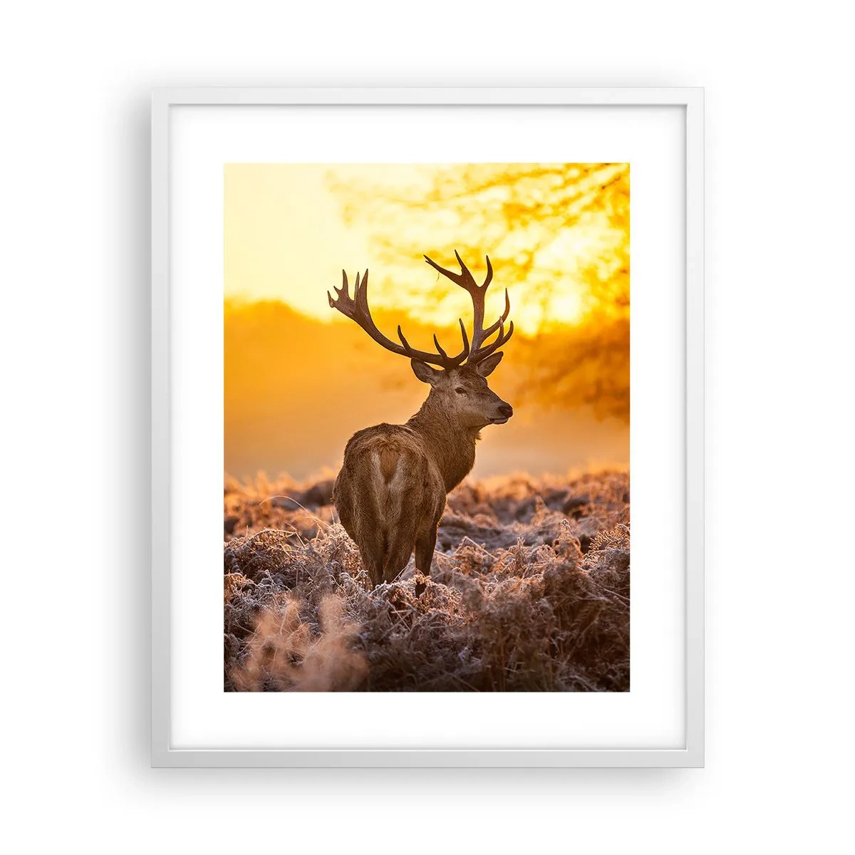 Plakat w białej ramie - Król jesiennego lasu - 40x50 cm