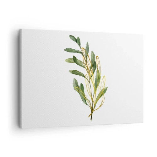 Obraz na płótnie - Zielona gałązka z liśćmi na białym tle - 70x50cm - Wszystko co dobre - Nowoczesna dekoracja ścienna do salonu i sypialni ARTTOR
