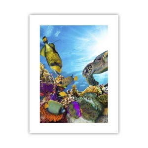 Plakat - Koralowa promenada - 30x40 cm