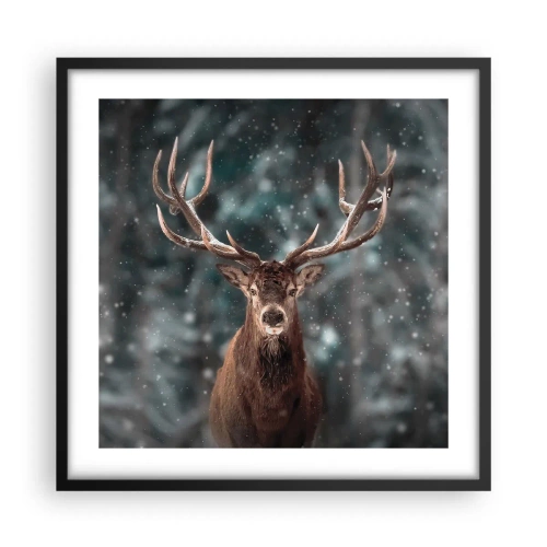Plakat w czarnej ramie - Król lasu ukoronowany - 50x50 cm