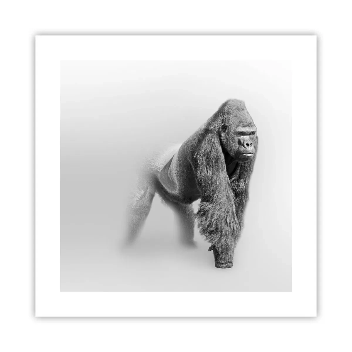 Plakat - Pewny swej siły - 40x40 cm