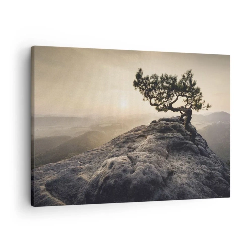 Obraz na płótnie - Samotne drzewo na skalistym szczycie w blasku słońca - 70x50cm - Życie zawsze zwycięża - Nowoczesna dekoracja ścienna do salonu i sypialni ARTTOR