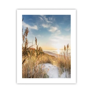 Plakat - Północna plaża - 40x50 cm