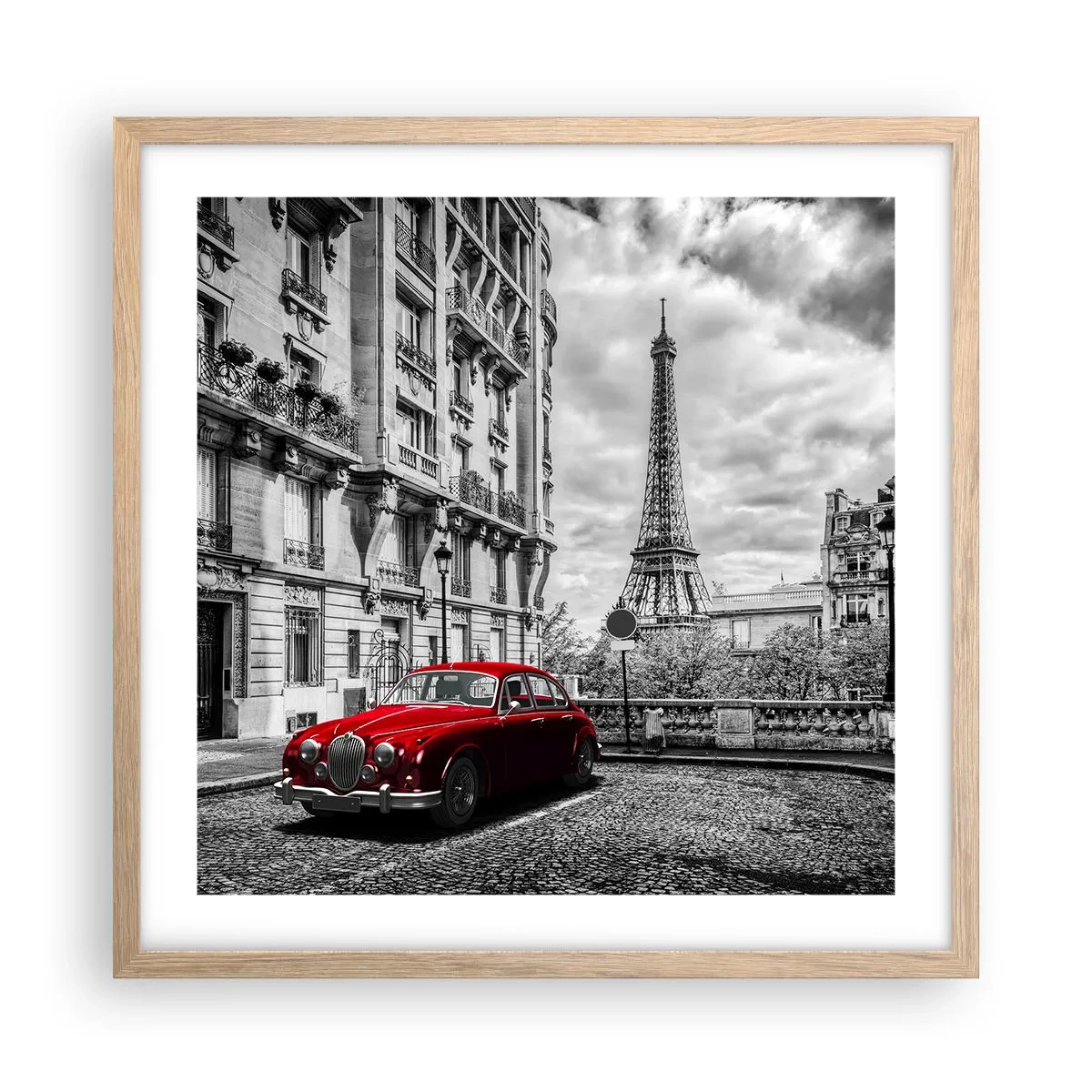 Plakat w ramie jasny dąb - Drapieżnik w mieście - 50x50 cm