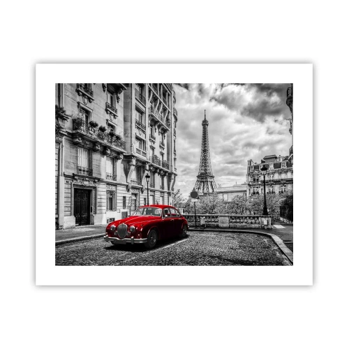 Plakat - Drapieżnik w mieście - 50x40 cm