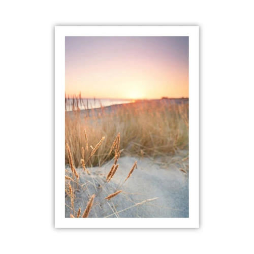 Plakat - Trawy na wydmach oświetlone zachodzącym słońcem - 50x70cm - Bałtycka kołysanka - Nowoczesna dekoracja ścienna do salonu, kuchni i sypialni ARTTOR