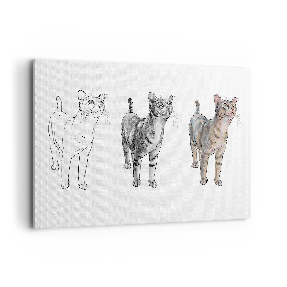 Obraz na płótnie - Ewolucja rysunku kota od szkicu do kolorowej formy - 120x80cm - Lekcja rysunku - Nowoczesna dekoracja ścienna do salonu, kuchni i sypialni ARTTOR