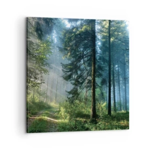 Obraz na płótnie - Rozpromieniony o poranku - 60x60 cm