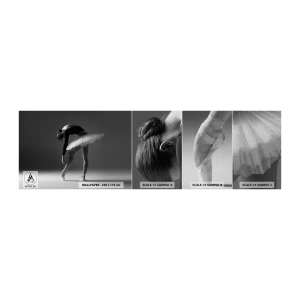 Fototapeta Próbka Premium Canvas - Bella balerina - Baletnica, Balet, Taniec - 100x30 cm