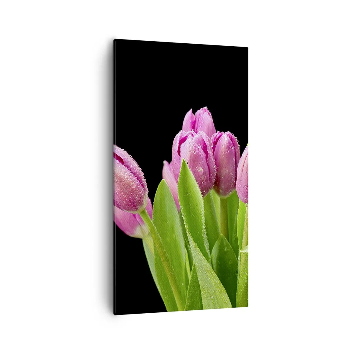 Obraz na płótnie - Liliowa radość wiosny - 55x100 cm