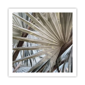 Plakat - Wachlarze w tropikach - 60x60 cm