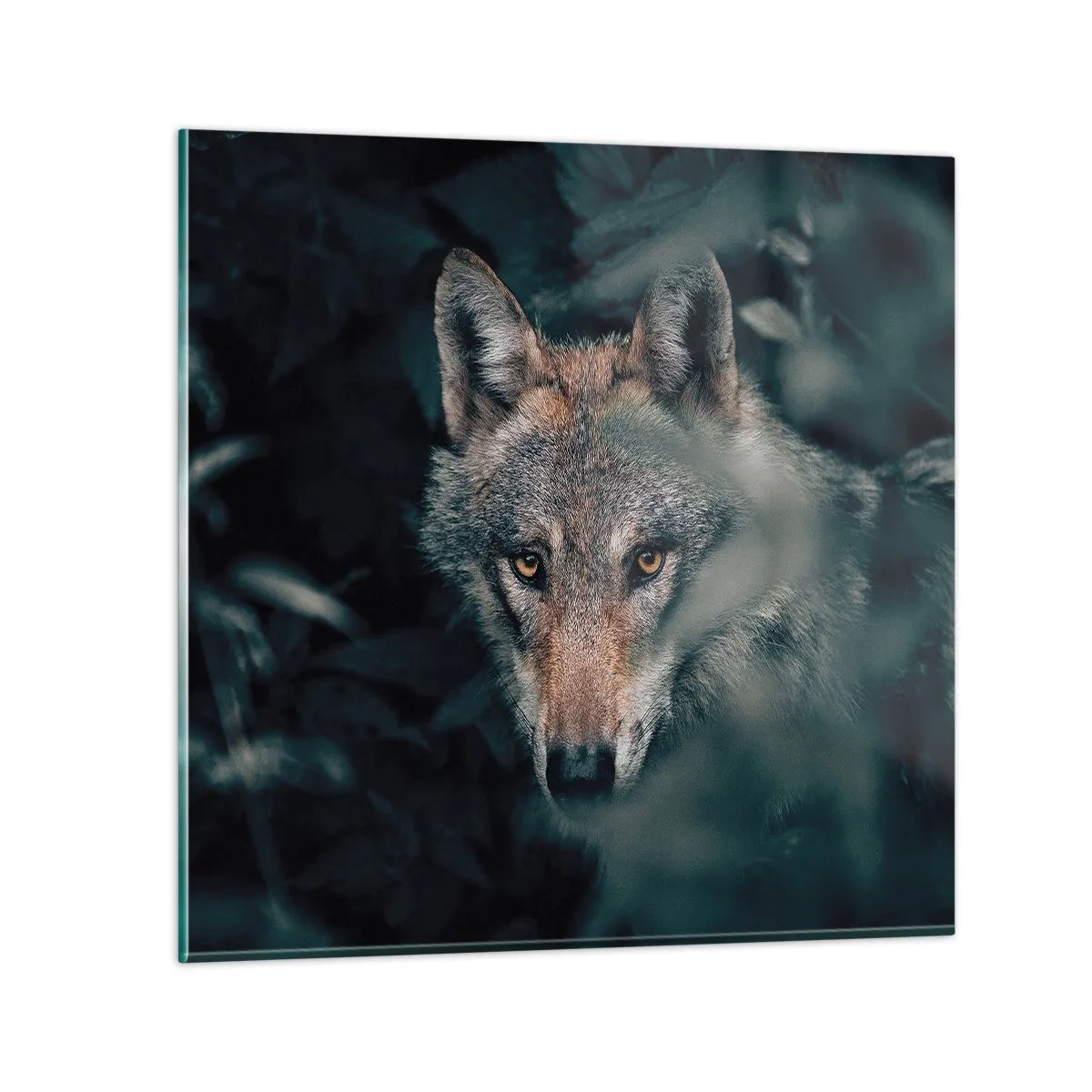 Obraz na szkle - Łowca - 60x60 cm