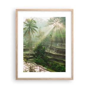 Plakat w ramie jasny dąb - Dorastać w słońcu - 40x50 cm