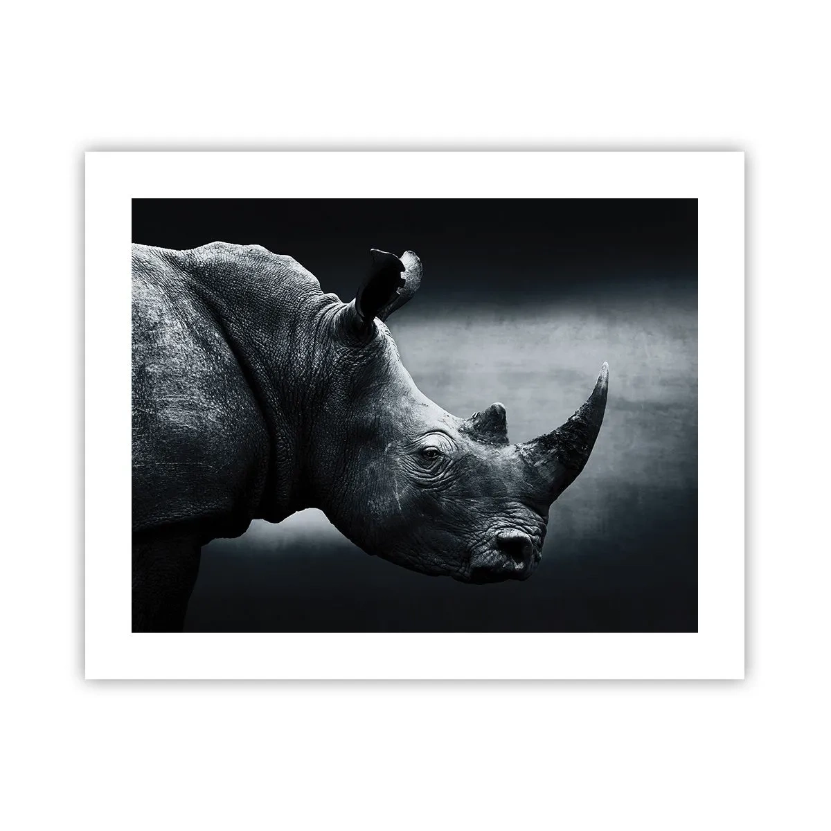 Plakat - Prawy profil - 50x40 cm