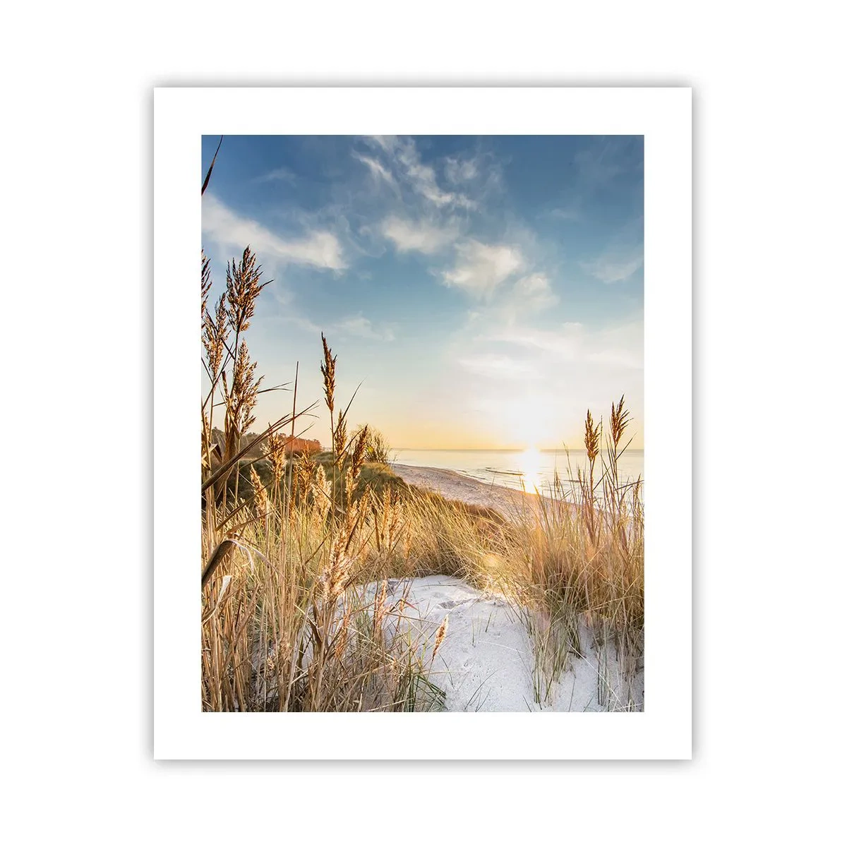 Plakat - Północna plaża - 40x50 cm