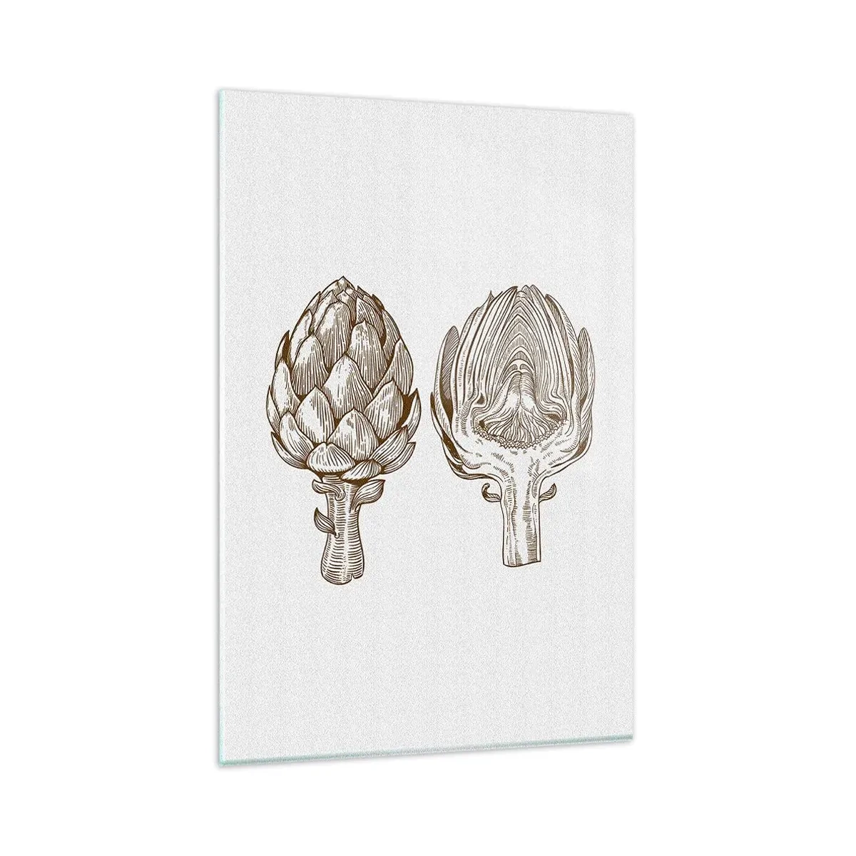 Obraz na szkle - Rysunek artystyczny karczocha w stylu vintage - 80x120cm - Lekcja anatomii - Nowoczesna dekoracja ścienna do salonu i sypialni ARTTOR