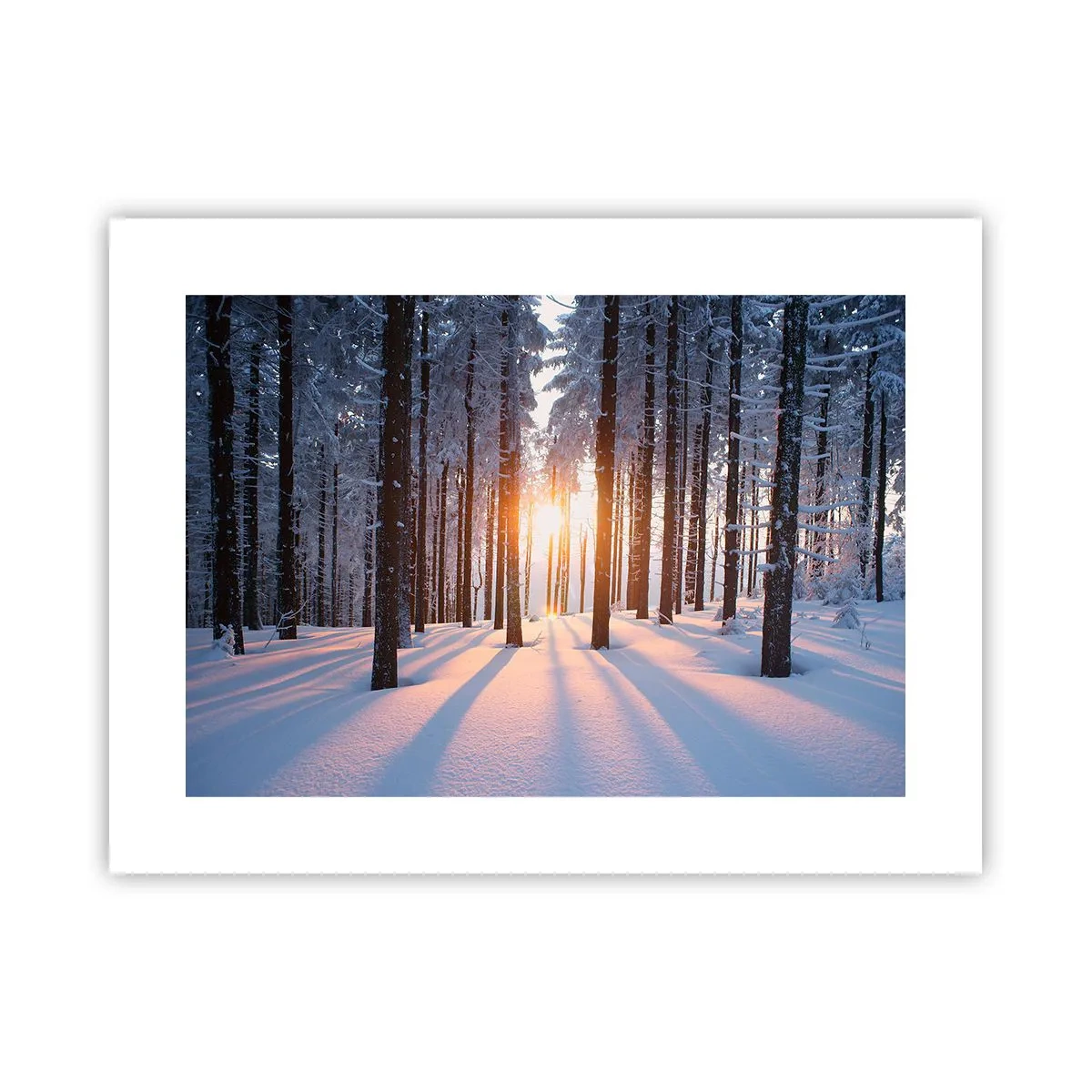 Plakat - Wyraźnie czarno na białym - 40x30 cm