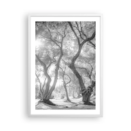 Plakat w białej ramie - W oliwnym gaju - 50x70 cm