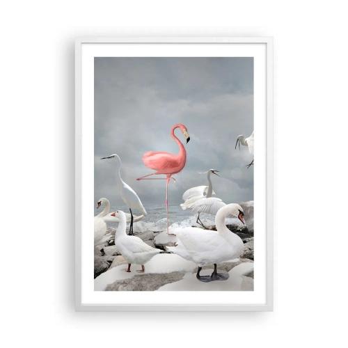 Plakat w białej ramie - Skąd się tu wziąłem? - 50x70 cm