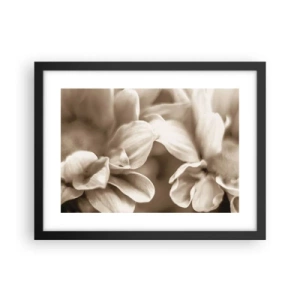 Plakat w czarnej ramie - Łagodne jak uśmiech - 40x30 cm