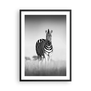 Plakat w czarnej ramie - Zebra w czarno-białej kompozycji na sawannie - 50x70cm - A jednak świat jest czarno-biały - Nowoczesna dekoracja ścienna do salonu i sypialni ARTTOR