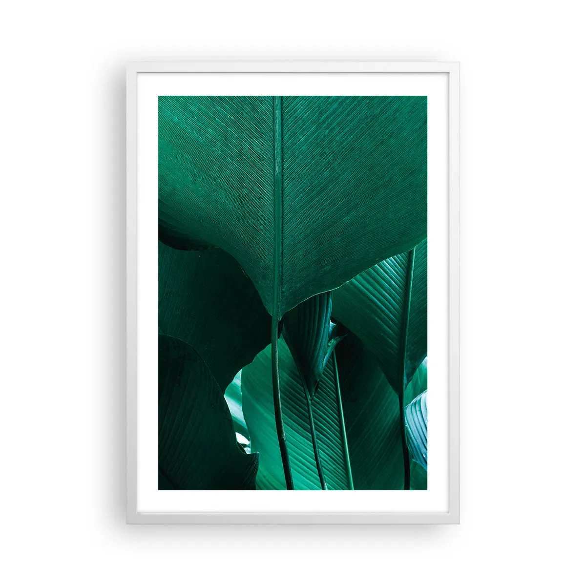 Plakat w białej ramie - Zwrócone do światła - 50x70 cm