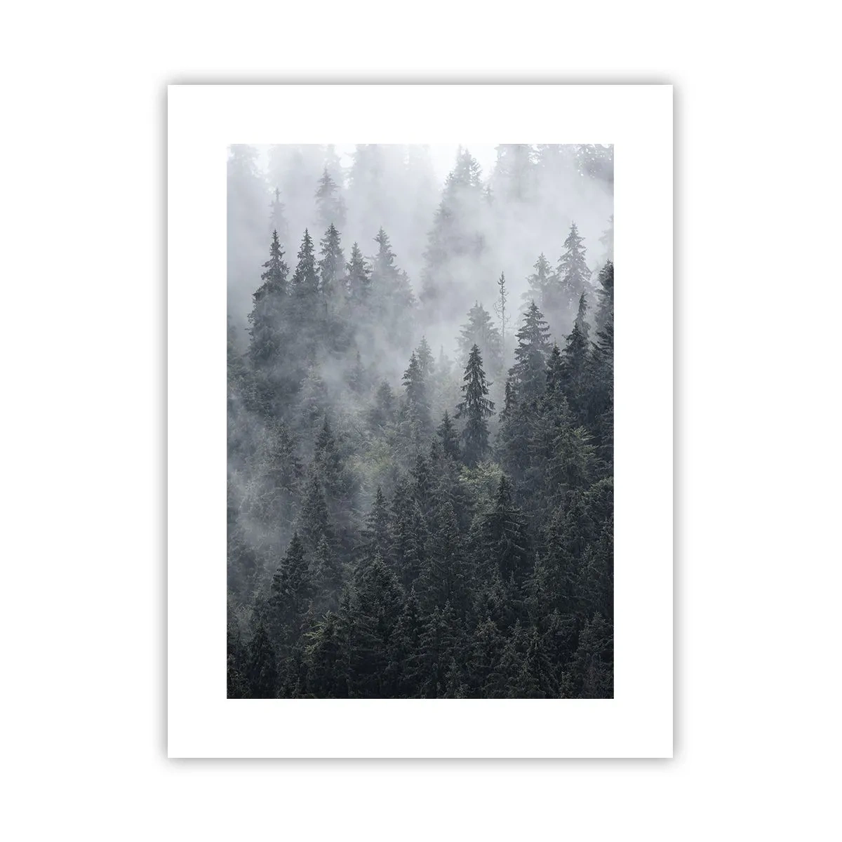 Plakat - Leśny świt - 30x40 cm