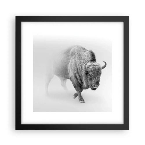 Plakat w czarnej ramie - Król prerii - 30x30 cm