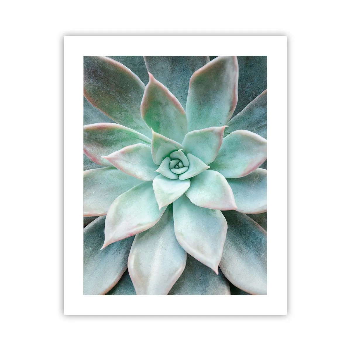 Plakat - Serce pustyni - 40x50 cm