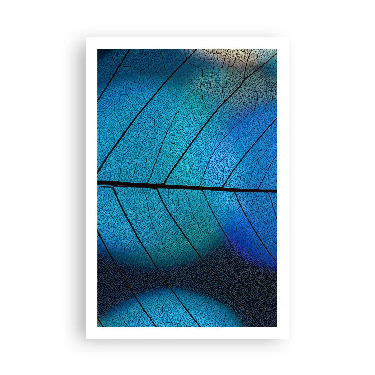 Plakat - Misterna budowa - 61x91 cm