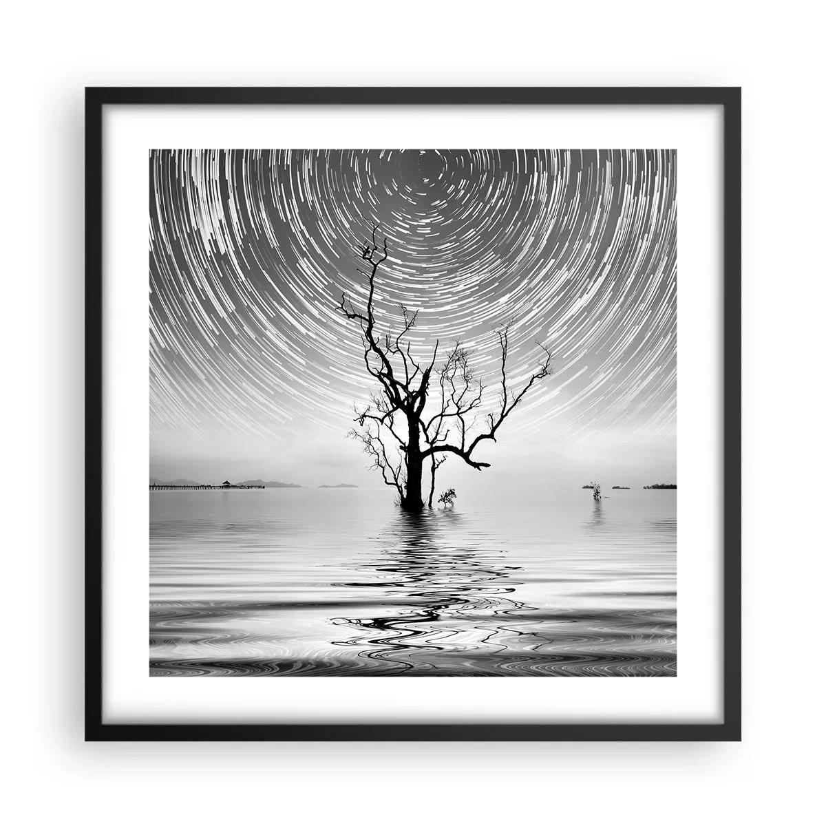 Plakat w czarnej ramie - Symfonia natury - 50x50 cm