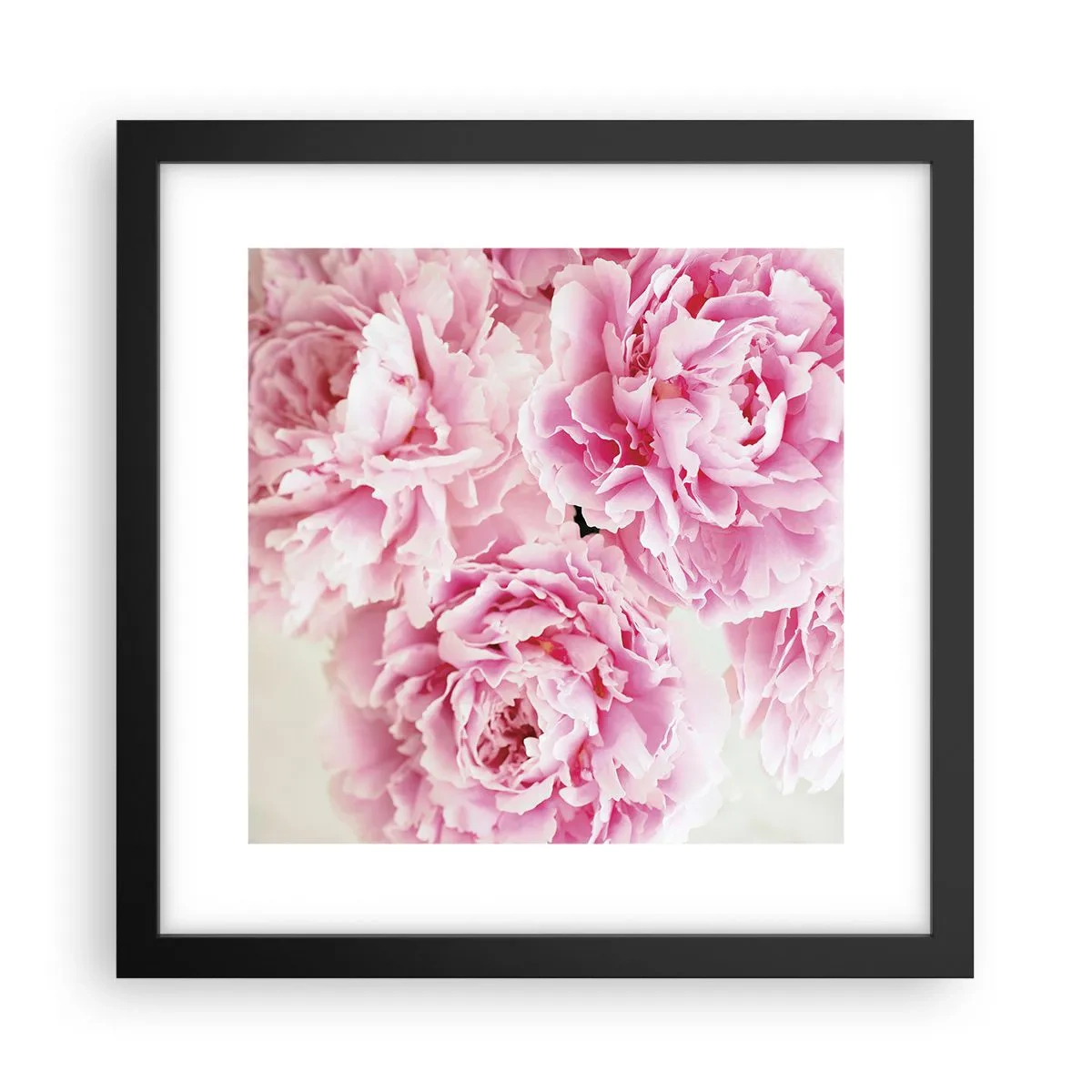 Plakat w czarnej ramie - W różowym przepychu - 30x30 cm
