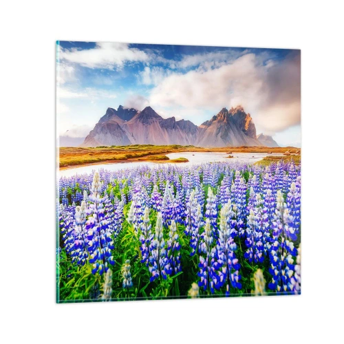 Obraz na szkle - Siła i surowość obok łagodności - 70x70 cm