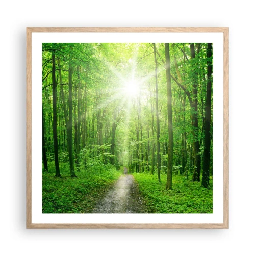 Plakat w ramie jasny dąb - Zielona katedra - 60x60 cm