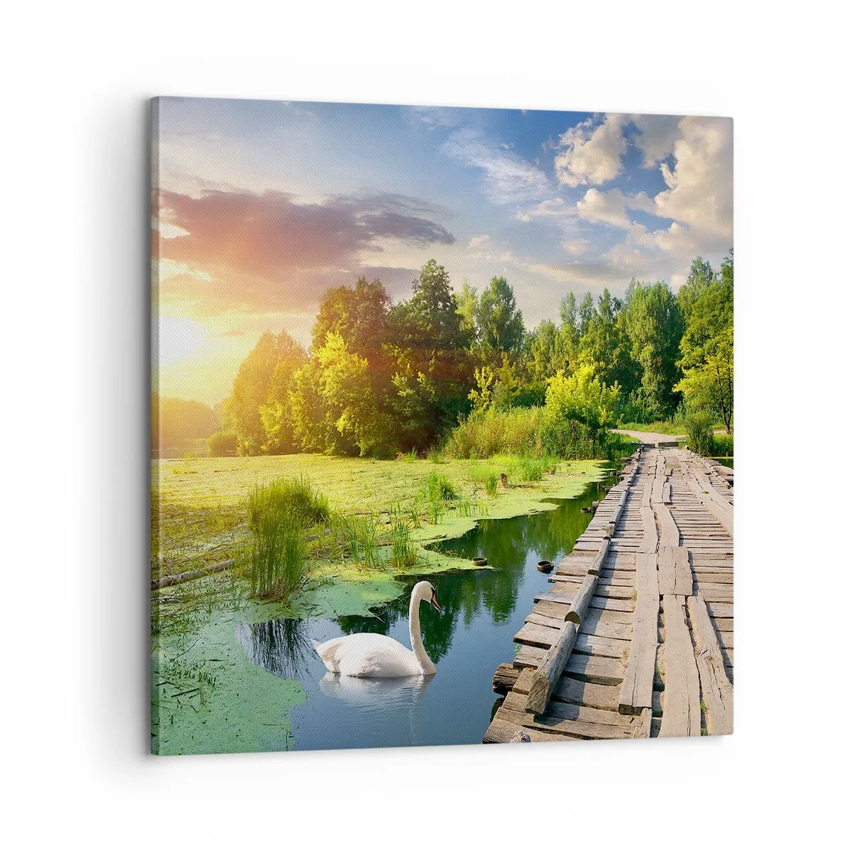 Obraz na płótnie - Lato, lato wszędzie - 60x60 cm