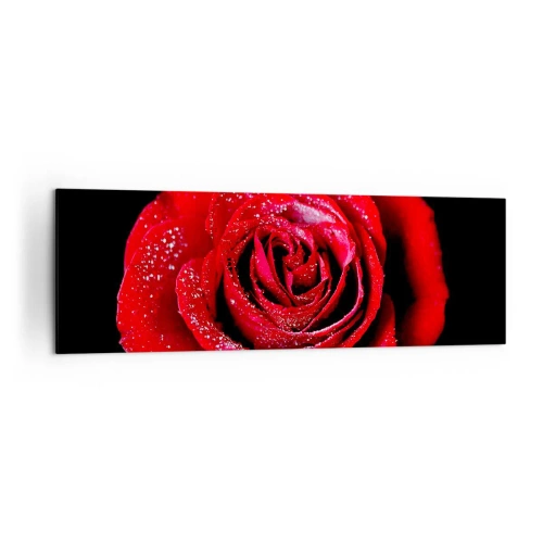 Obraz na płótnie - Czerwona róża pokryta kroplami rosy na czarnym tle. - 160x50cm - To właśnie miłość - Nowoczesna dekoracja ścienna do salonu i sypialni ARTTOR