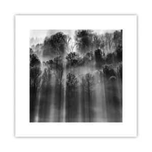 Plakat - W strumieniach światła - 30x30 cm