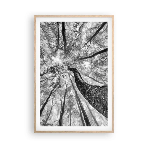 Plakat w ramie jasny dąb - Wyścig do światła - 61x91 cm