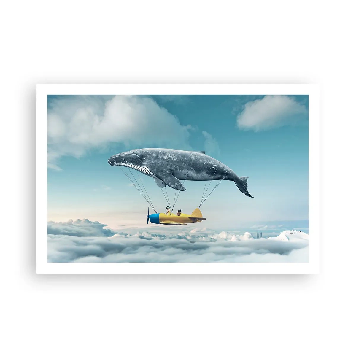 Plakat - Dlaczego nie? - 91x61 cm